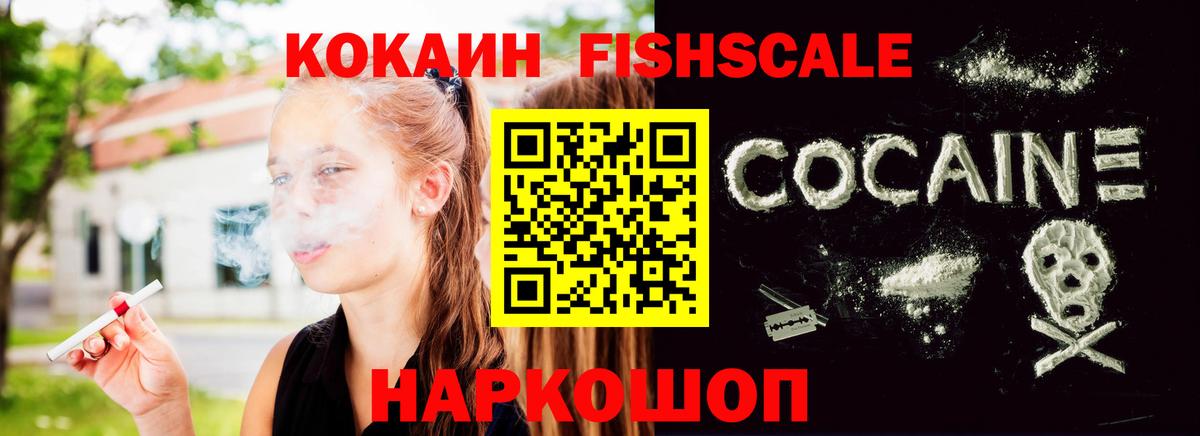 Кокаин Fish Scale  Вход с VPN  COCAIN 97%  продажа наркотиков  Елизово 