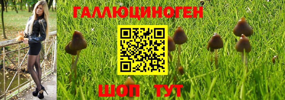 Елизово  Псилоцибиновые грибы MAGIC MUSHROOMS  Вход с VPN 