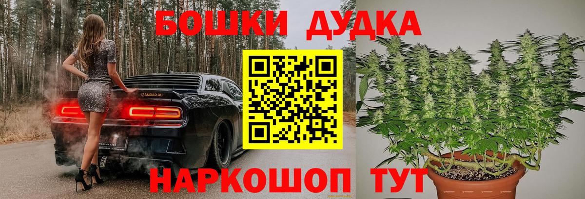 Бошки Шишки конопля  Каннабис ГИДРОПОН  Елизово  Вход с VPN  Бошки Шишки SATIVA & INDICA 